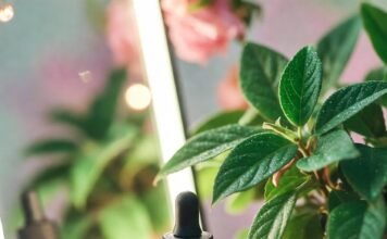 Must-Have Skin Care Products for Glowing, Healthy Skin in 2025 Cluttered vanity with vitamin C serum, cracked phone, drooping monstera at golden hour.