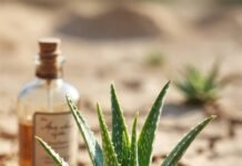 The Best Skin Care for Dry Skin: Hydrating Tips and Product Picks Cracked desert with aloe, ceramide tube, and sunny cactus thumbs-up.